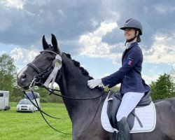 dressage horse Doula (Hanoverian, 2014, from Danciano)