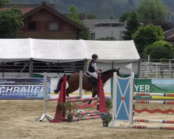 Reitturnier Rankweil 2023