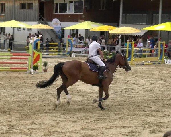 Reitturnier Rankweil 2023