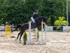 jumper Condor H (Oldenburg show jumper, 2003, from Carpalo)