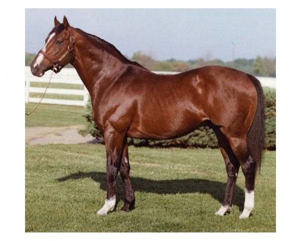 stallion Northern Dancer xx (Thoroughbred, 1961, from Nearctic xx)