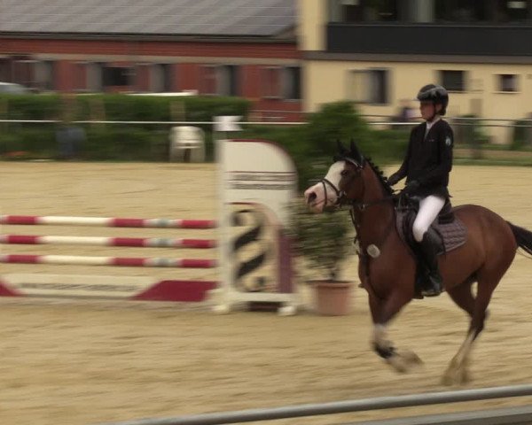 Reitturnier Sonsbeck 2023