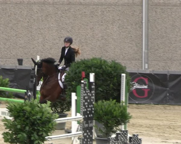 Reitturnier Kalenborn Hegehof 2023