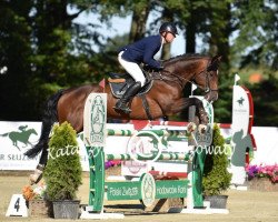 jumper Chaccorthago (Oldenburg show jumper, 2014, from Chacco-Blue)