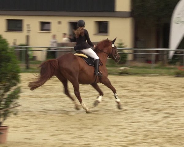 Reitturnier Sonsbeck 2023