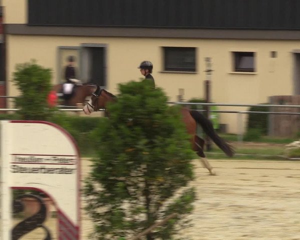 Reitturnier Sonsbeck 2023