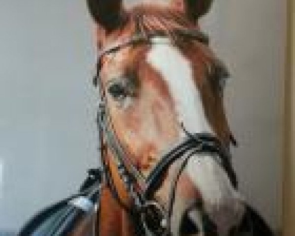 Kerstin Nath