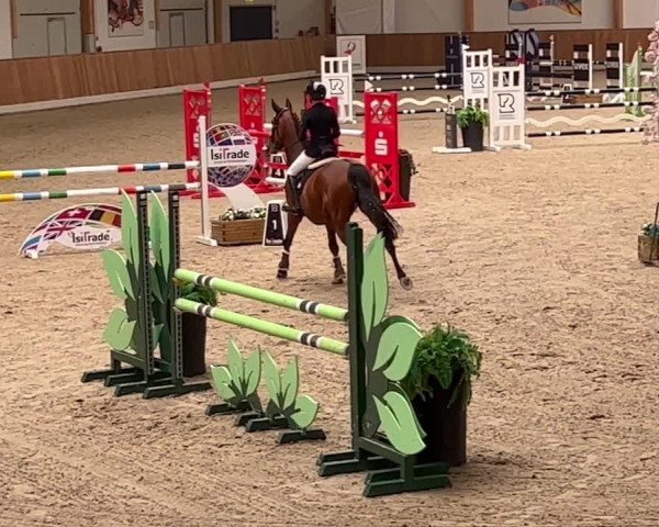 Reitturnier Riesenbeck 2023