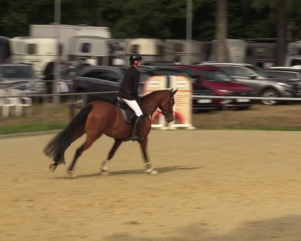 Reitturnier Sonsbeck 2023