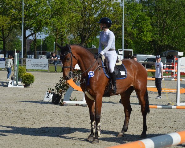 jumper Cosinus T 3 (German Sport Horse, 2017, from Bergamo)