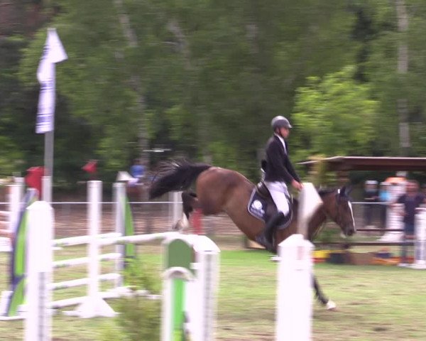Reitturnier Niederwerbig 2023