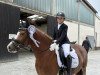 dressage horse Pantyfid Starlight (Welsh-Cob (Sek. C), 2011, from Hafodrynys Welsh Crusader)