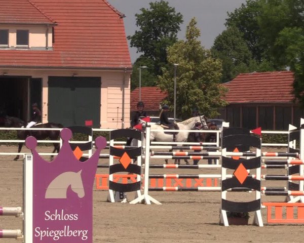Reitturnier Neustadt/Dosse 2023