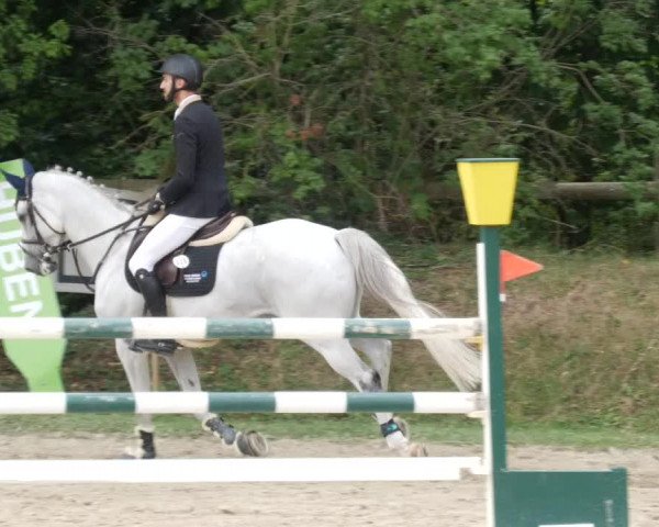 Reitturnier Walldorf/Winterheck PSG 2023