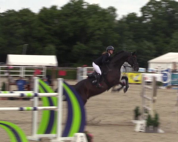 Reitturnier Neustadt/Dosse 2023