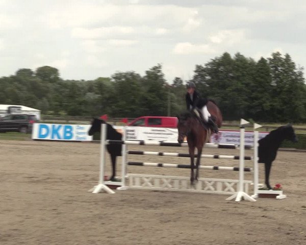 Reitturnier Neustadt/Dosse 2023