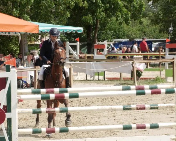 Reitturnier Walldorf/Winterheck PSG 2023