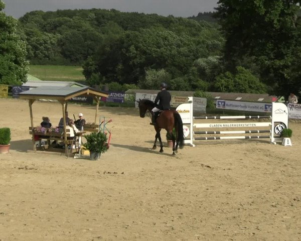 Reitturnier Kalenborn Hegehof 2023