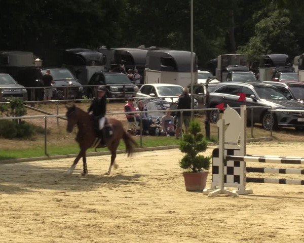 Reitturnier Sonsbeck 2023