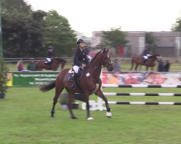 Reitturnier Dersekow 2023
