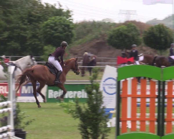 Reitturnier Dersekow 2023