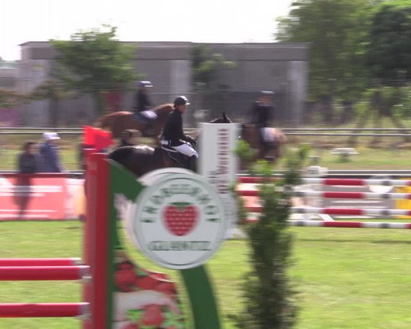 Reitturnier Dersekow 2023