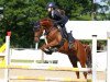 Zuchtstute Con Cara 3 (Deutsches Reitpony, 2016, von Simply the Best TCF)