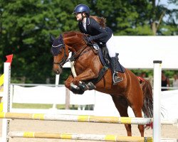 broodmare Con Cara 3 (German Riding Pony, 2016, from Simply the Best TCF)