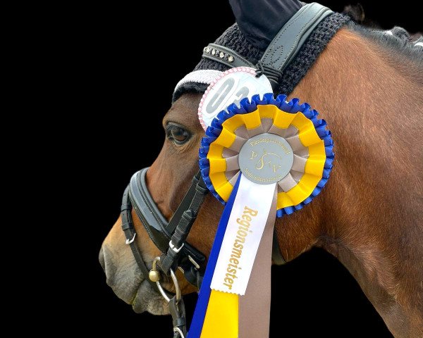 dressage horse Charity-Girl (unknown, 2011)