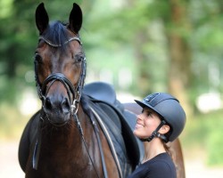 dressage horse Fiore Di Maggio (Westphalian, 2014, from Franziskus FRH)