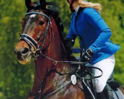 Springpferd Rasco 30 (Deutsches Reitpferd, 2007, von Rebell Junior)