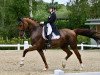 dressage horse Boston's Junior (Austrian Warmblood, 2012, from Boston)