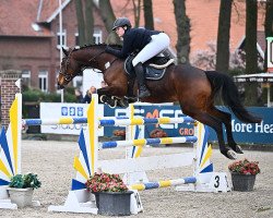 jumper Levita 25 (Hanoverian, 2011, from Levisonn 208 FIN)