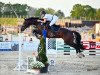 jumper Dancing Dorie (Hanoverian, 2016, from Don Index)