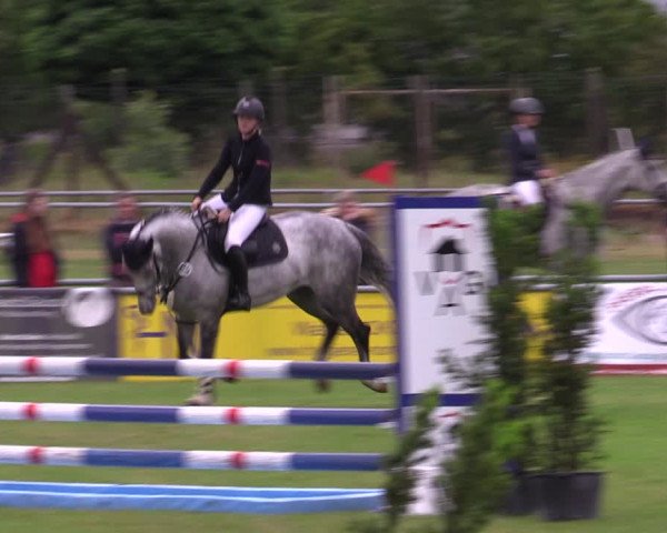 Reitturnier Dersekow 2023