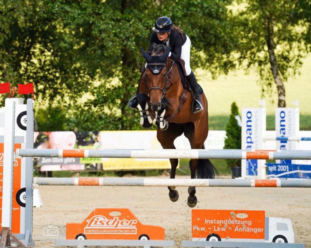 broodmare Diva De Semilly (German Sport Horse, 2014, from Diamant de Semilly)
