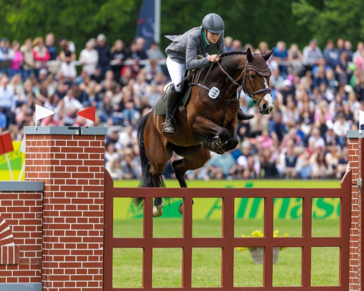 broodmare Unique (Hanoverian, 2013, from Ustinov)