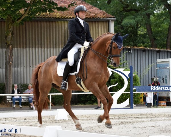 dressage horse Lisboa V (German Sport Horse, 2011, from Belissimo NRW)