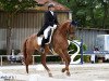 dressage horse Lisboa V (German Sport Horse, 2011, from Belissimo NRW)