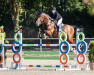 Springpferd Elco Vm (KWPN (Niederländisches Warmblut), 2009, von Douglas)