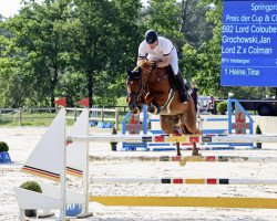 jumper Lord Coloubet (Holsteiner, 2015, from Lord Z)