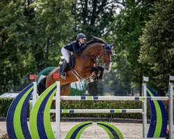 jumper Carat (Akhal-Teke, 2016, from Carleyle)