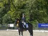 dressage horse Nicita Mill D'Arx (KWPN (Royal Dutch Sporthorse), 2018, from Top Gear)