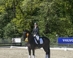 dressage horse Nicita Mill D'Arx (KWPN (Royal Dutch Sporthorse), 2018, from Top Gear)