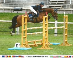 jumper Qork de L'Aulne (Connemara Pony, 2004, from Macky)