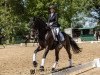 dressage horse Belle Fleur 60 (Hanoverian, 2017, from Bon Coeur)