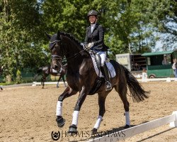 dressage horse Belle Fleur 60 (Hanoverian, 2017, from Bon Coeur)