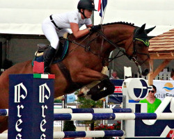 jumper Casinjo Ex Z (Zangersheide riding horse, 2006, from Carinjo)