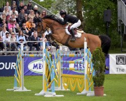 jumper Horse Gym's Landinos (Bavarian, 2011, from Lord Z)