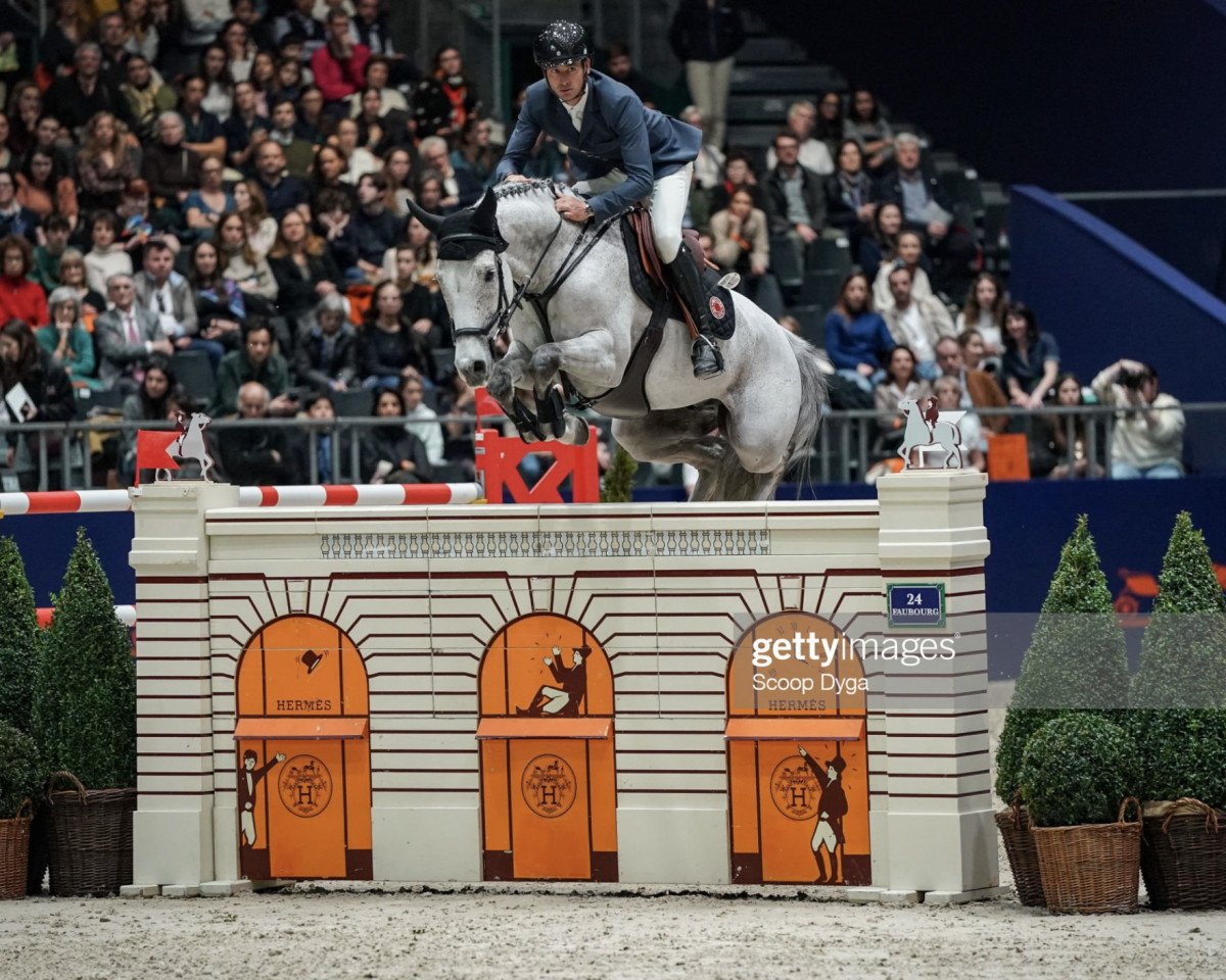 jumper Con Calma (Holsteiner, 2013, from Cascadello)